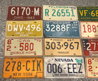 Lot Of 12 Vintage License Plate Plates Original New York Michigan Florida Etc 