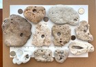 10 Holey Beach Rocks Hag Fairy Stones Adder Mystical Natural Large 3 8  Hole 3v