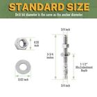 Concrete Wedge Anchors 3 8  X 3-3 4  Stainless Steel Cement Anchor Bolts For 