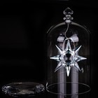 Swarovski Annual Edition 2020 Christmas Xmas Ornaments Anniversary Set 5531252