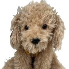 Fao Schwarz Puppy Dog Plush  Retriever Yellow Lab 12  Stuffed Animal