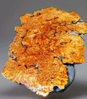 Gorgeous Birds Eye Fire Curl  Burl Table   Ballid Piece