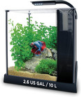 Betta Premium Aquarium Kit  2 6 Gallon
