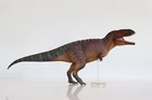 Pnso 83 Tyrannotitan Mateo Model Allosaurus Dinosaur Prehistoric Animal Gk Decor
