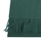 Plain Solid Color Cashmere Feel Classic Soft Luxurious Winter Scarf Men Women