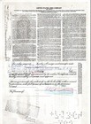United States Lines Company Stock Certificate Less Than 100 Shares