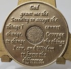 Alcoholic 9 Year Recovery Chip Medallion Coin Medal Token  Aa Anonymous