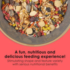 Fiesta Cockatiel Food  Nutritious And Fun Blend  Supports Skin  Feather  Digesti