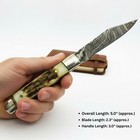 Handmade Damascus Steel Pocket Knife   Genuine Stag Antler Handle   Edc Folding 