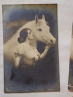 Ww1 Wwii Imperial German Soldier Reich Postcards Feldpost Horses Beautiful Women