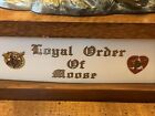 Rare 95th Anniversary  Secret Decanter Loyal Order Of Moose Antlers Intact