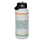 Disney Mickey Mouse Colorful Shake Stainless Steel Water Bottle  32 Fl Oz