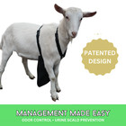 Urine Scald   Odor Control Olor Buck Apron    With Harness - Goats sheep X-small