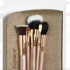 Sigma Beauty Radiant Glow Brush Set