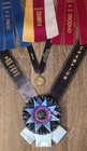 Lot Of  11  Ushja A o Challenge Horse Show Ribbons  Equestrian Awards  new  