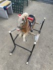 Vintage Step-up Mechanical Riding Exercise Horse Spring Trainer
