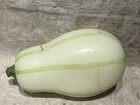 Pottery Barn  Long White Gourd Sculpted Candle  4    Long  Fall Decor