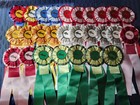 Hunter Jumper Horse Show Ribbons Awards Equestrian Events Streamers Cut