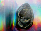 Buddha Monk Ascension Mt  Kailash Chintamani Stone Spirit Guide Lucky Fish Bless