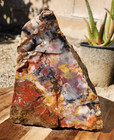 Petrified Rainbow Wood Az Rough Specimen 7 5 x5 5 x3 5  9 5 Pounds See Video