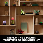 Icons Succulents  5  Artificial Plant  Multicolor  Plastic  For Home Decor