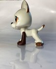 Authentic Great Dane  750  white brown  Brown orange Eyes  Littlest Pet Shop 