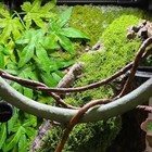 Artificial Green Moss Decoration Fake Lawn Potted Plant Fairy Garden Floors New