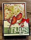 4 Cardinals Winter Berries Hug Any Occasion Stampin Up Card Kit Double Easel Set