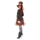Alice In Wonderland Lady Hatter Adult Costume