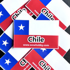 Chilean Coins          5 Unique Random Coins From Chile For Coin Collecting         