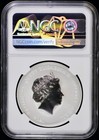 2021 P Tuvalu 1 Oz Silver  1 The Simpsons Family Ngc Ms 69  bu Uncirculated Unc 