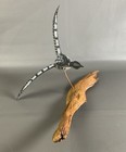 Hand Carved And Painted Loon Wooden Look In Flight Mounted Driftwood Plaque