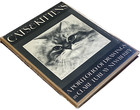 Cats   Kittens Portfolio Turlay Newberry Feline Cat Siamese Persian Abyssinian