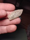 Incredible  Paleo Point Iowa 1 3 4 Garunteed Authentic