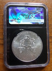2017 First Strike  American Silver Eagle Ngc Ms 70 Bu Gem