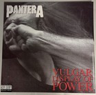 Pantera Vulgar Display Of Power 12x12 Record Store Promo Poster Flat 2sided 1992