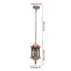 Vintage Ceiling Light Industrial Outdoor Pendant Lamp Lantern Yard Hanging Light