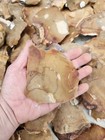 Flint Knapping Flint River Flint Spalls 3 -6  Heat Treated 10lb Flat Rate Ga