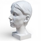 Life Size Chiaroscuro Figure Art Drawing Model Mannequin Anatomical Head 12 