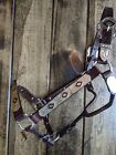Horse Silver Show Halter - Gold   Black Diamonds - Matching Lead Shank