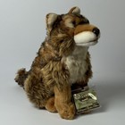 Webkinz Signature Endangered Red Wolf Plush Ganz Sealed Code Retired Wkse3008