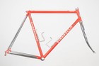 Pinarello Treviso Steel Frame Vintage Road Bike Frameset Lugged Campagnolo