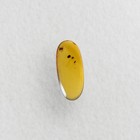 Spider In Burmese   Burmite Amber Fossil   100  Genuine Amber