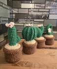 Crochet Cactus Love 5  Tall Handmade Amigurumi Plant Decor Decoration      
