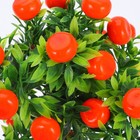 Bonsai Orange Tree Fake Fruit Tree Artificial Small Potted Bonsai Decor Gift