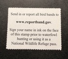 Wtdstamps -  rw88 2021 - Us Federal Duck Stamp   richard Clifton    Mint Og Nh