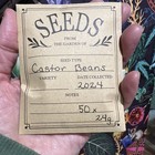 Seeds  From Seed Pods That Are Shown In The Pictures