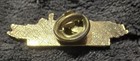 Princess Cruise Line Dawn Princess Cruise Ship Lapel Pin    
