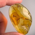Detailed Spider In Burmese   Burmite Amber Fossil   100  Genuine Amber 