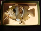Castaic Softbait Sunfish